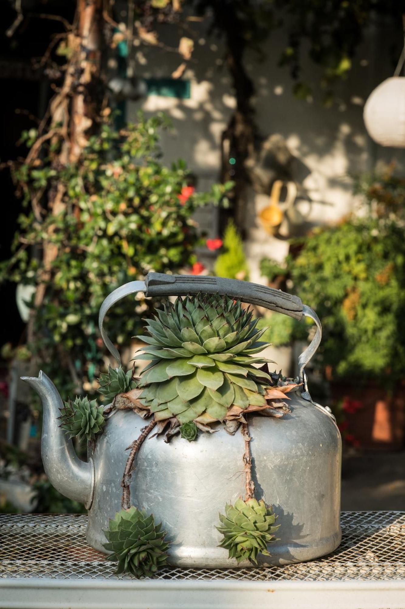阿格里图瑞斯木比亚提拉酒店 Marmirolo 外观 照片